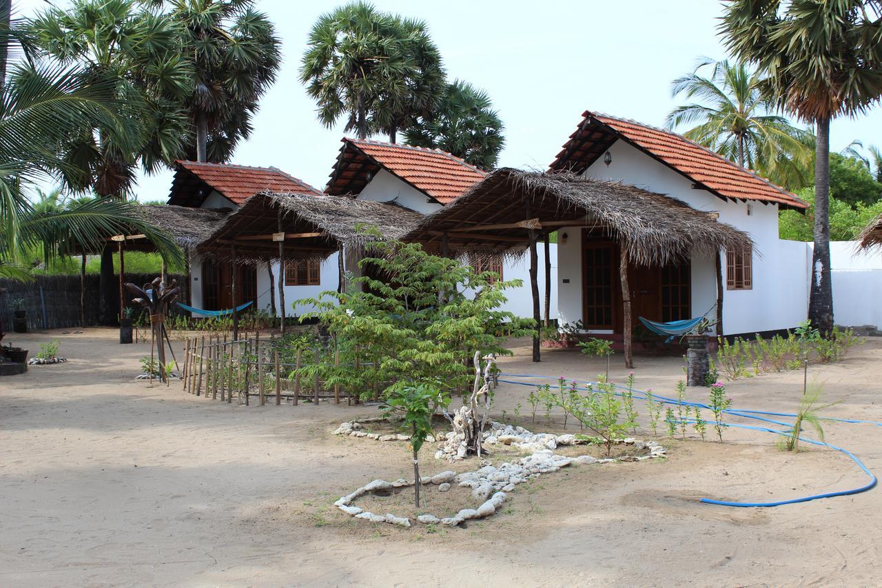 Hotel Margarita Kitesurfing School Sri Lanka Kalpitiya Zewnętrze zdjęcie